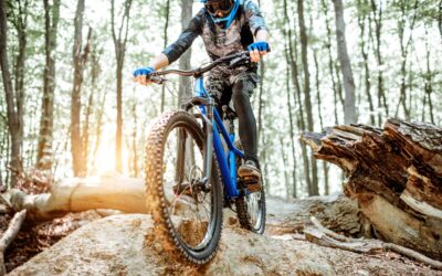 AdobeStock 272765066 scaled