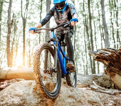 AdobeStock 272765066 scaled