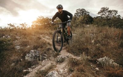 AdobeStock 371294019 scaled