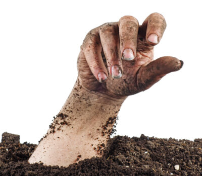 AdobeStock 294166632 scaled