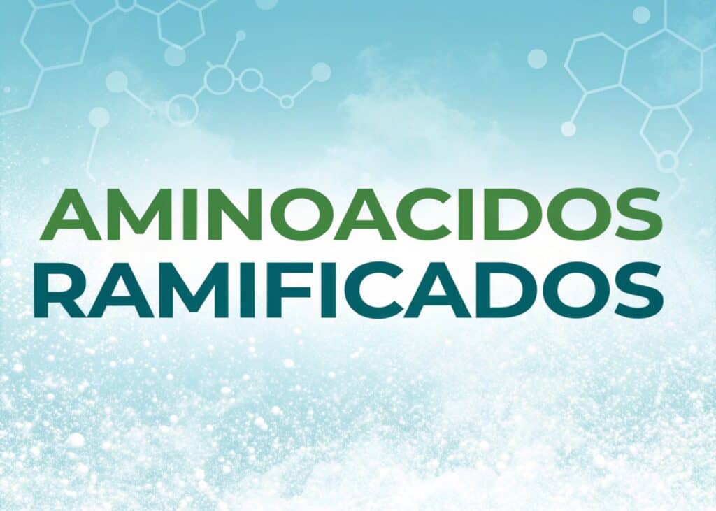 Aminoácidos Ramificados