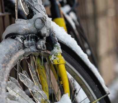 AdobeStock 456715379 scaled