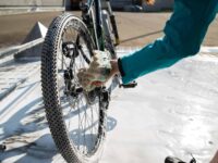 AdobeStock 216002971 scaled