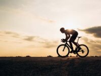 AdobeStock 416790222 1 scaled e1677449084700