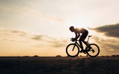 AdobeStock 416790222 1 scaled e1677449084700