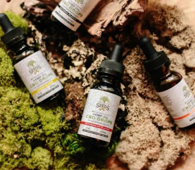 pexels photo 3259584 scaled