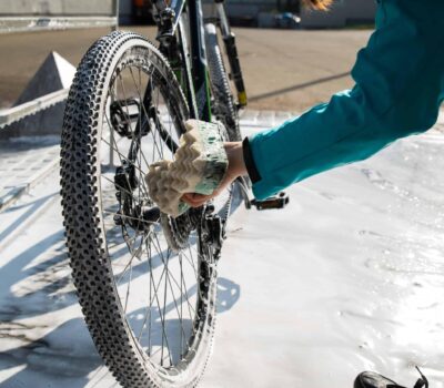 AdobeStock 216002971 scaled