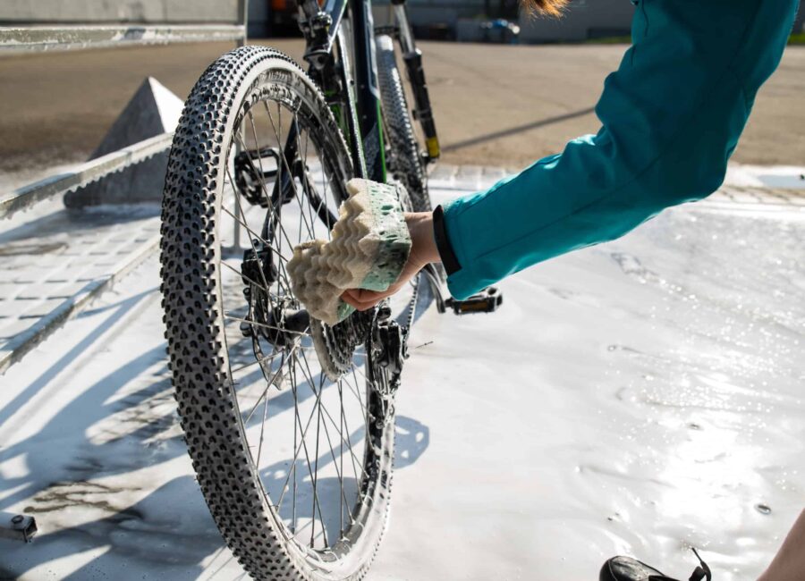 AdobeStock 216002971 scaled