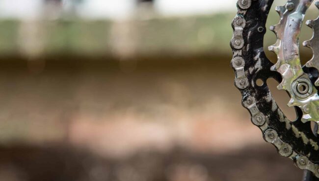 AdobeStock 386379501 scaled