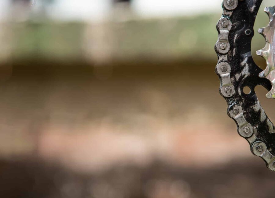 AdobeStock 386379501 scaled