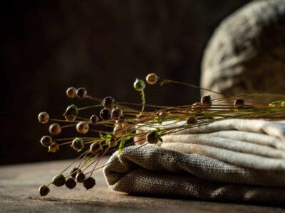 AdobeStock 375659065 scaled