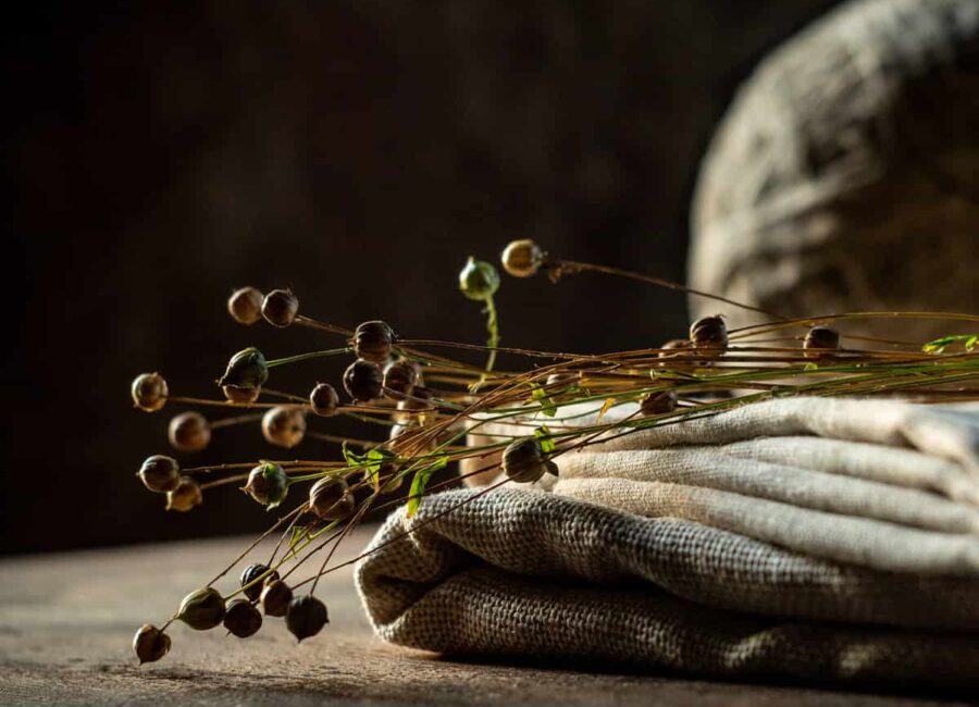 AdobeStock 375659065 scaled