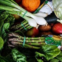 ¿Porque ser un ciclista vegetariano?