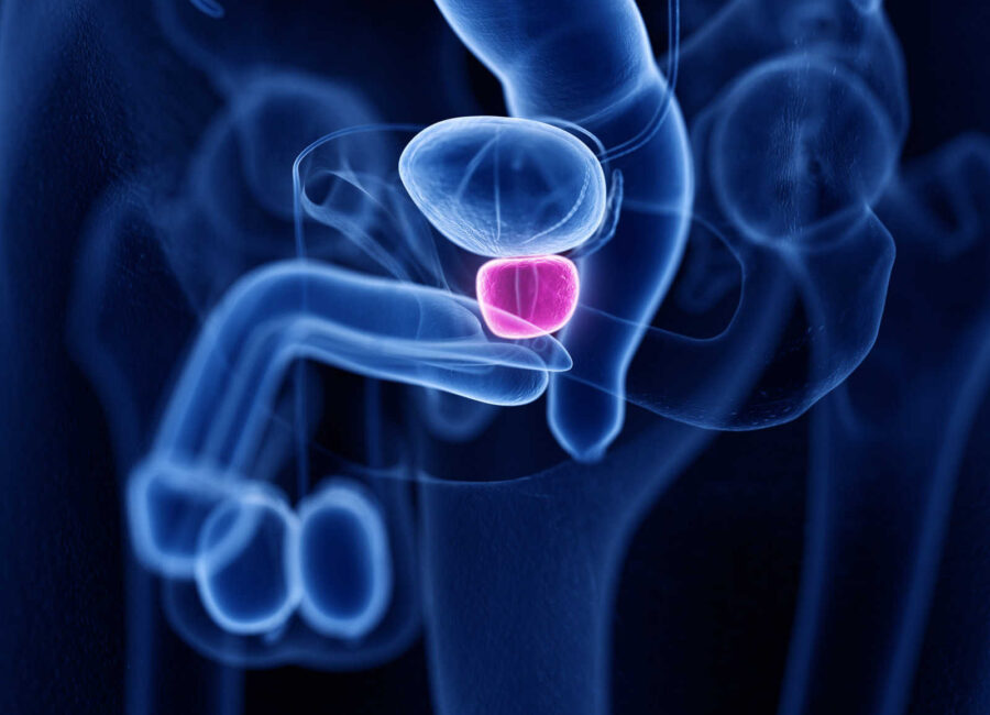 AdobeStock 282277845 scaled