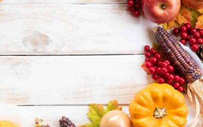 AdobeStock 234449596 scaled