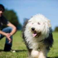 Perder barriga con tu mejor amigo es más fácil