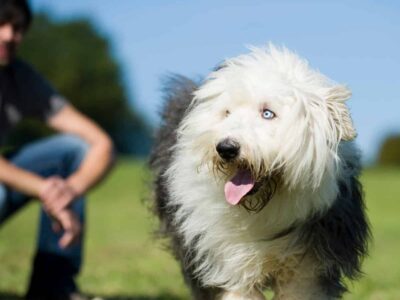 AdobeStock 214458497 scaled