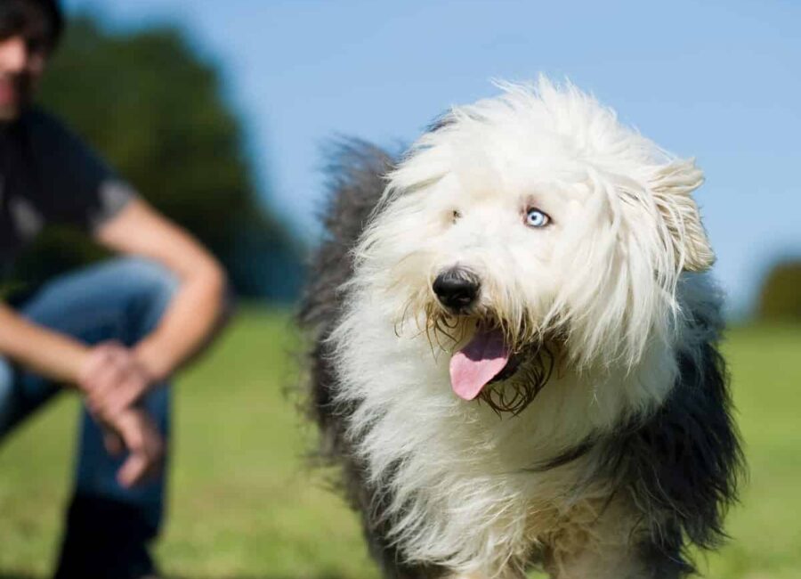 AdobeStock 214458497 scaled