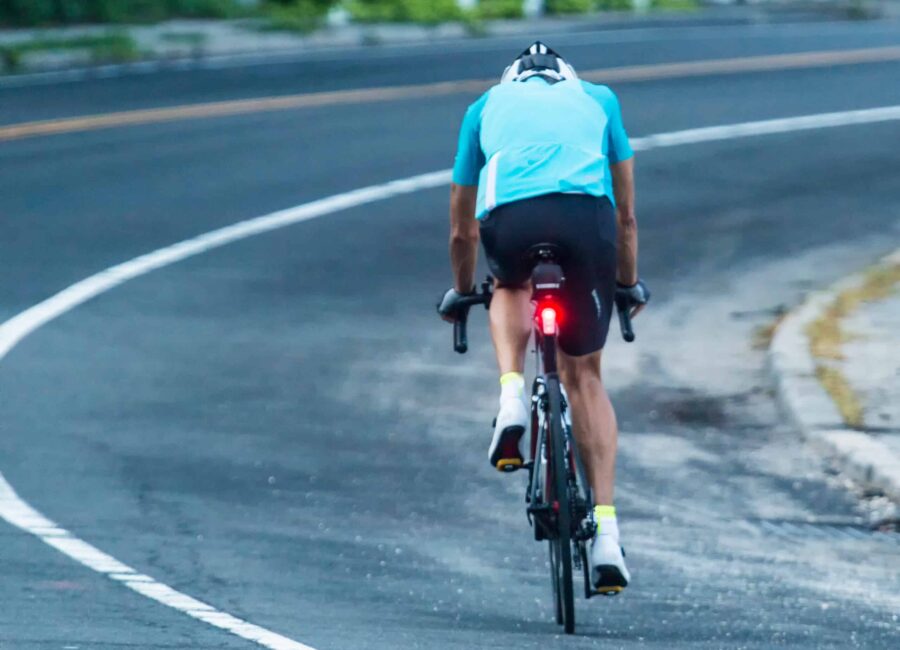 AdobeStock 221352026 scaled