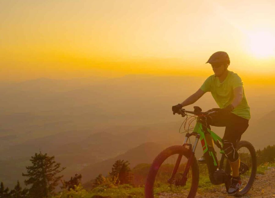 AdobeStock 270861232 1 scaled