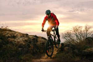 AdobeStock 389598657 scaled