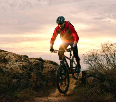 AdobeStock 389598657 scaled