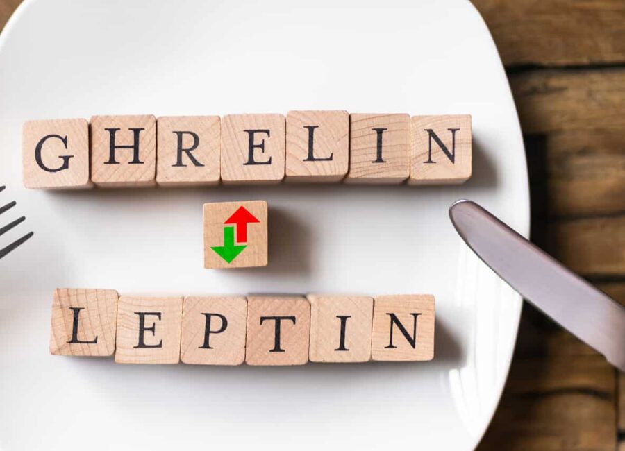 AdobeStock 450904815 1 scaled