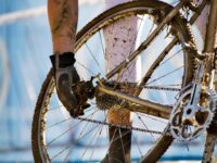 AdobeStock 233664657 scaled