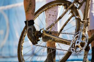 AdobeStock 233664657 scaled