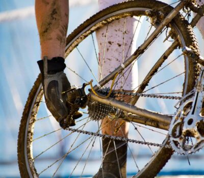 AdobeStock 233664657 scaled