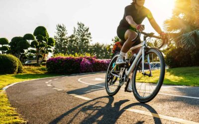 AdobeStock 486701820 scaled