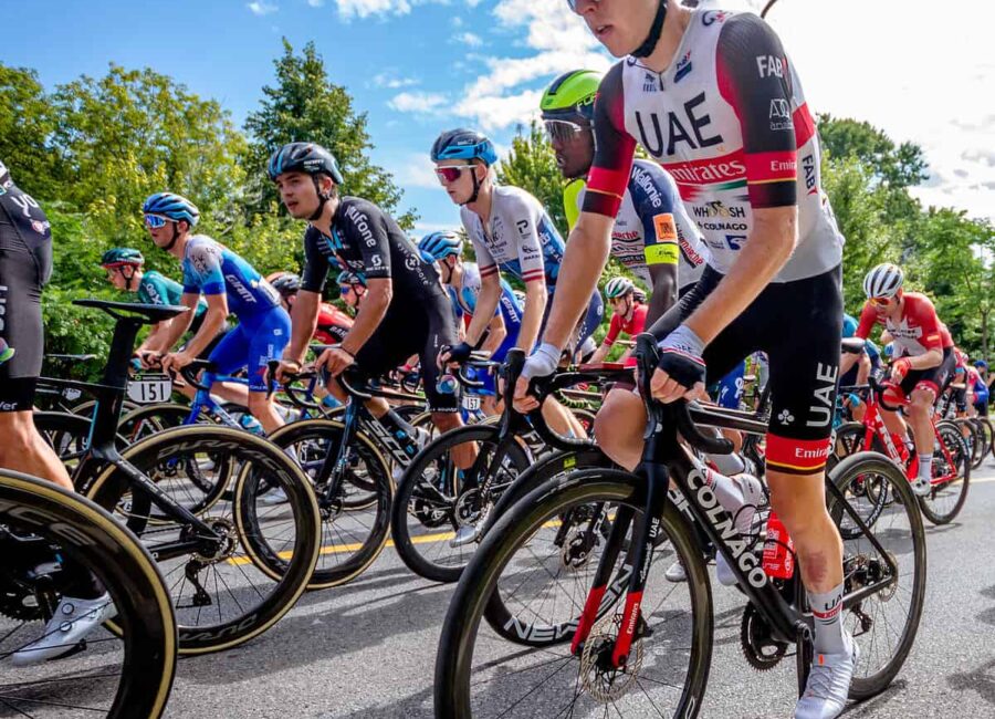 52354531814 15680c41d1 k