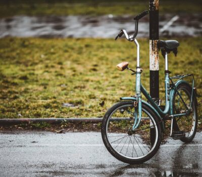 AdobeStock 295700548 scaled