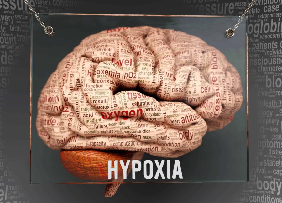 AdobeStock 495114592 scaled