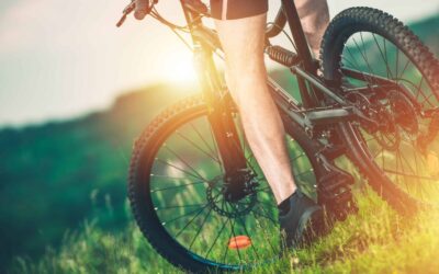 AdobeStock 139865783 scaled