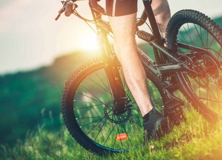 AdobeStock 139865783 scaled