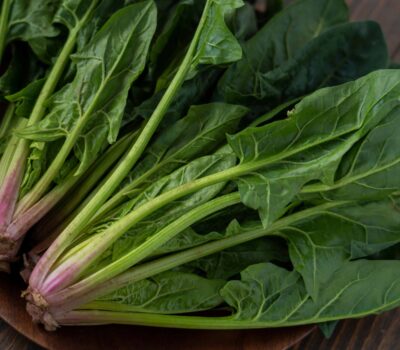 AdobeStock 482591826 scaled