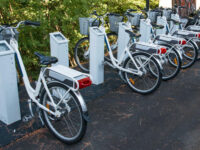 50169525326 96143e8419 o