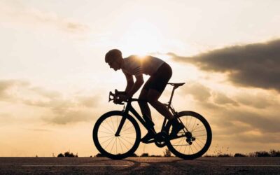 AdobeStock 416790222 scaled