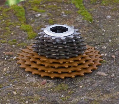 40788133450 fe39be1aa5 o