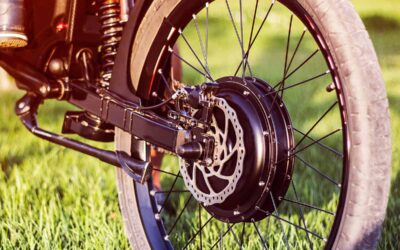 AdobeStock 176281912 scaled