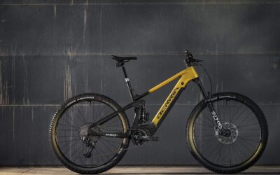 LTD Portada 1500