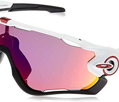 61EW9Qn8oHL. AC UX679