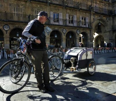 8580497412 241ffe702c h