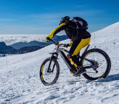 AdobeStock 312393787 1 scaled