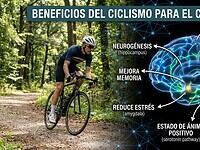 Beneficios del ciclismo para el cerebro