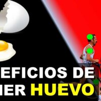 Beneficios del huevo en el ciclismo