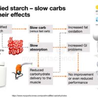 Carbohidrato o hidratos de carbono, esenciales para cualquier actividad deportiva