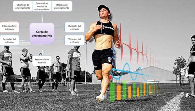 carga de entrenamiento volumen e intensidad