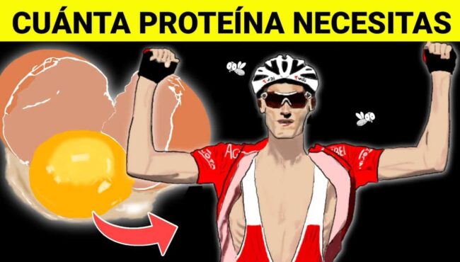 cuanta proteina necesitan los ciclistas